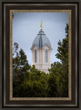 Load image into Gallery viewer, Cedar City Detail