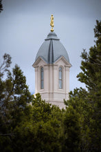Load image into Gallery viewer, Cedar City Detail