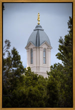 Load image into Gallery viewer, Cedar City Detail Gallery Wrap