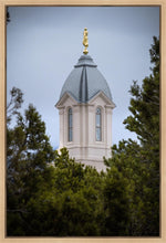 Load image into Gallery viewer, Cedar City Detail Gallery Wrap