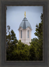 Load image into Gallery viewer, Cedar City Detail