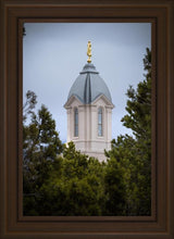 Load image into Gallery viewer, Cedar City Detail