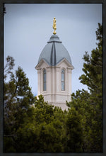 Load image into Gallery viewer, Cedar City Detail Gallery Wrap