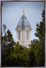 Load image into Gallery viewer, Cedar City Detail Gallery Wrap