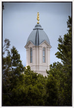 Load image into Gallery viewer, Cedar City Detail Gallery Wrap