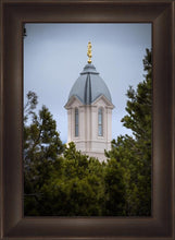 Load image into Gallery viewer, Cedar City Detail