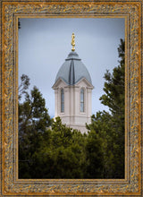 Load image into Gallery viewer, Cedar City Detail