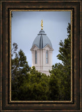 Load image into Gallery viewer, Cedar City Detail