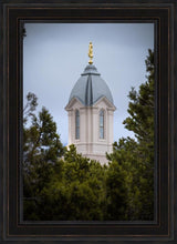 Load image into Gallery viewer, Cedar City Detail