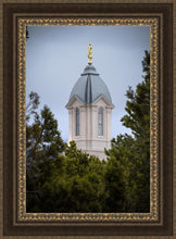 Load image into Gallery viewer, Cedar City Detail