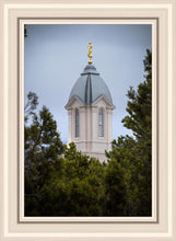 Load image into Gallery viewer, Cedar City Detail