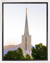 Load image into Gallery viewer, Jordan River Creator's Gifts Gallery Wrap