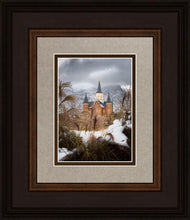 Load image into Gallery viewer, Provo City Center Winter Warmth