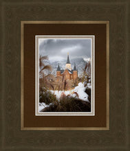 Load image into Gallery viewer, Provo City Center Winter Warmth