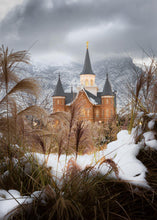 Load image into Gallery viewer, Provo City Center Winter Warmth