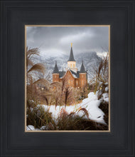 Load image into Gallery viewer, Provo City Center Winter Warmth