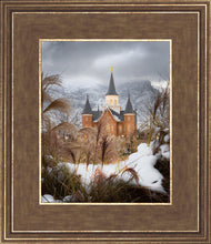 Load image into Gallery viewer, Provo City Center Winter Warmth