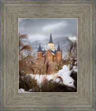 Load image into Gallery viewer, Provo City Center Winter Warmth