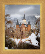 Load image into Gallery viewer, Provo City Center Winter Warmth