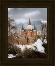 Load image into Gallery viewer, Provo City Center Winter Warmth