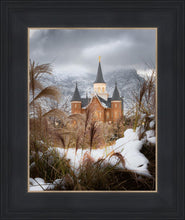 Load image into Gallery viewer, Provo City Center Winter Warmth