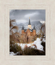 Load image into Gallery viewer, Provo City Center Winter Warmth