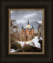 Load image into Gallery viewer, Provo City Center Winter Warmth