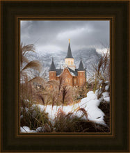 Load image into Gallery viewer, Provo City Center Winter Warmth
