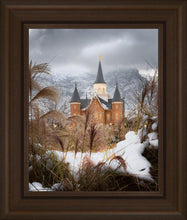 Load image into Gallery viewer, Provo City Center Winter Warmth