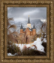 Load image into Gallery viewer, Provo City Center Winter Warmth