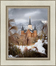 Load image into Gallery viewer, Provo City Center Winter Warmth