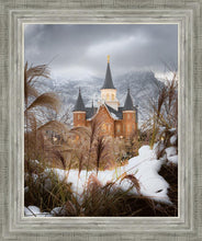 Load image into Gallery viewer, Provo City Center Winter Warmth