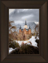 Load image into Gallery viewer, Provo City Center Winter Warmth