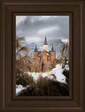 Load image into Gallery viewer, Provo City Center Winter Warmth