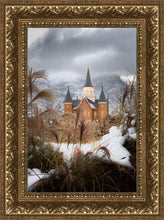 Load image into Gallery viewer, Provo City Center Winter Warmth