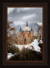 Load image into Gallery viewer, Provo City Center Winter Warmth