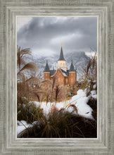 Load image into Gallery viewer, Provo City Center Winter Warmth