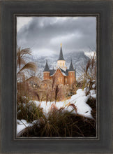 Load image into Gallery viewer, Provo City Center Winter Warmth