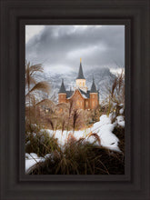 Load image into Gallery viewer, Provo City Center Winter Warmth