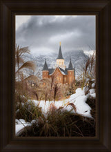 Load image into Gallery viewer, Provo City Center Winter Warmth