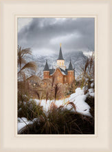 Load image into Gallery viewer, Provo City Center Winter Warmth