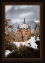 Load image into Gallery viewer, Provo City Center Winter Warmth