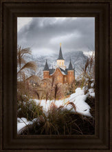 Load image into Gallery viewer, Provo City Center Winter Warmth
