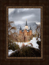 Load image into Gallery viewer, Provo City Center Winter Warmth