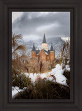 Load image into Gallery viewer, Provo City Center Winter Warmth