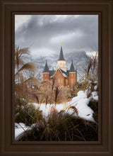 Load image into Gallery viewer, Provo City Center Winter Warmth