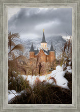 Load image into Gallery viewer, Provo City Center Winter Warmth