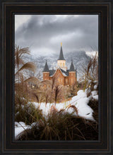 Load image into Gallery viewer, Provo City Center Winter Warmth