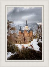 Load image into Gallery viewer, Provo City Center Winter Warmth