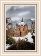 Load image into Gallery viewer, Provo City Center Winter Warmth